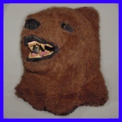 Grizzly