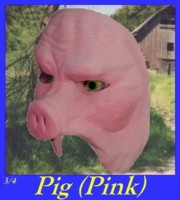 Pig