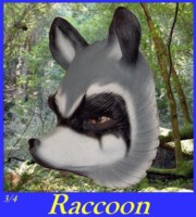 Raccoon