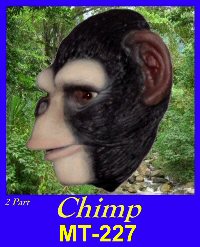 Chimp