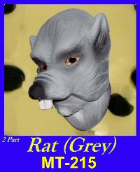 Rat