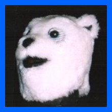 Bear-Polar(Baby)