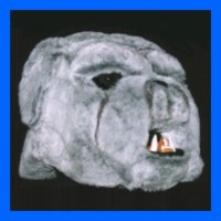 Dog-Bulldog