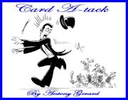 Card A-Tack