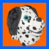 Dog-Dalmatian