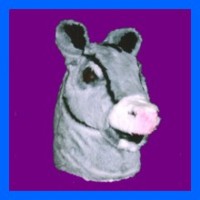 Donkey