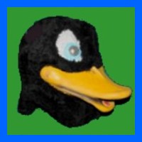 Duck-Mr.