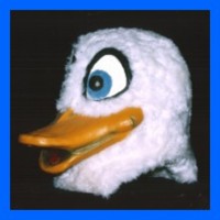 Duck-Mr.