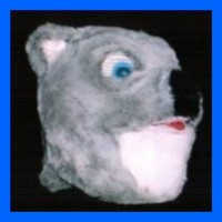 Bear-Koala