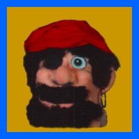 Human-Pirate