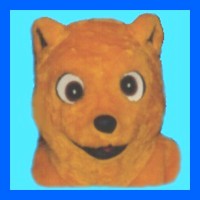 Bear-Sunshine
