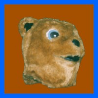 Bear-Teddy